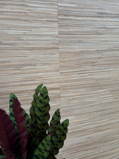 Natural Grasscloth Wallpaper (XL roll)