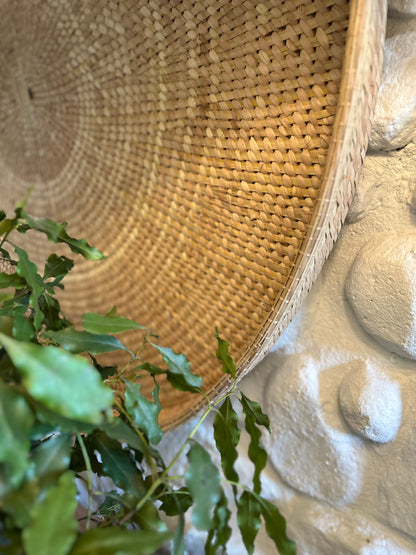 ilala Palm Wall Tray