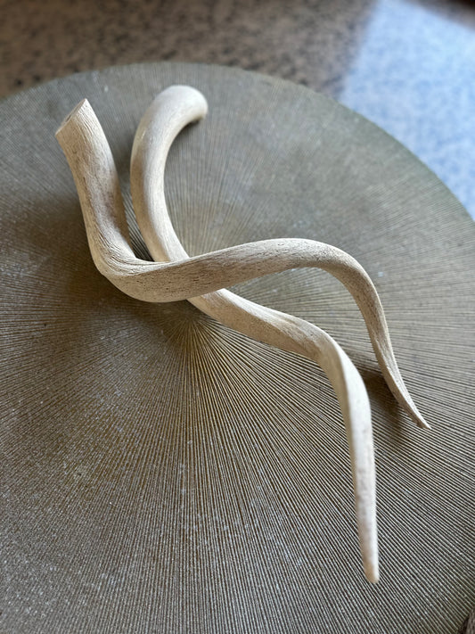 Kudu Horns Set