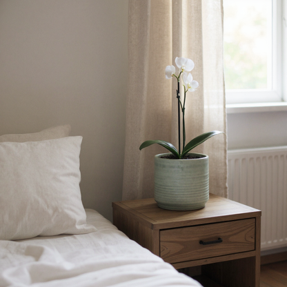 Organic Grey Planter