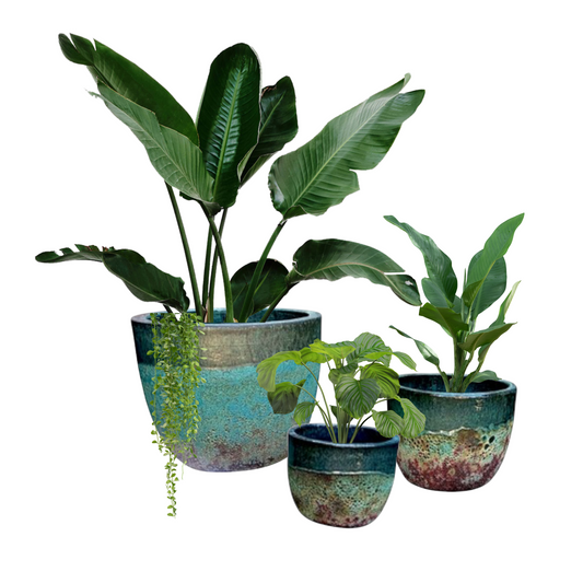 Large Moss Glazed Planter Sets