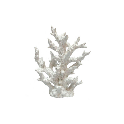 Coral Decor