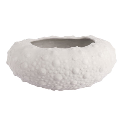 Large Barnacle Bowls