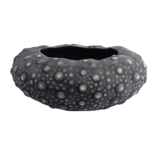 Large Barnacle Bowls