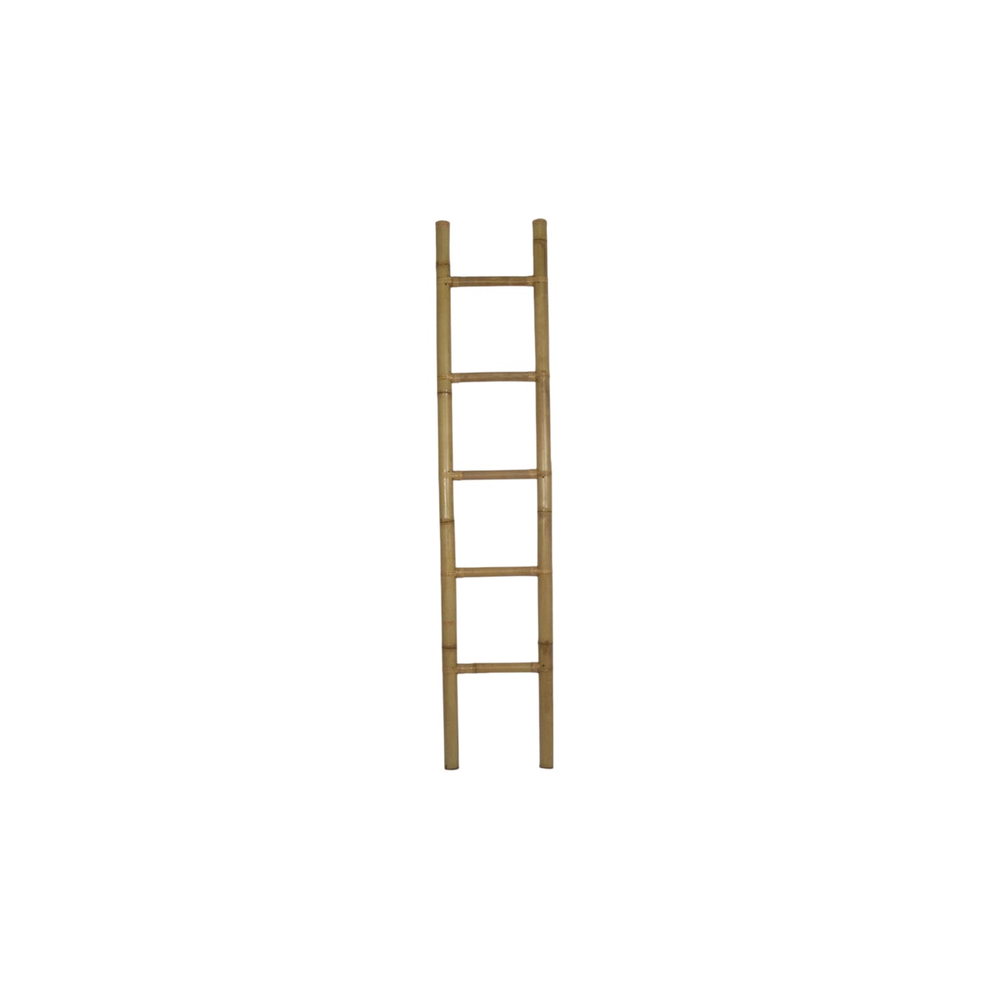 Bamboo Ladder