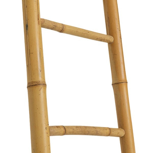 Bamboo Ladder