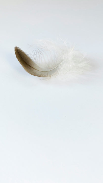 Duck Feather Inners