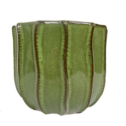 Green Vine Small Pot