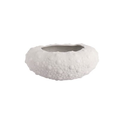 Large Barnacle Bowls