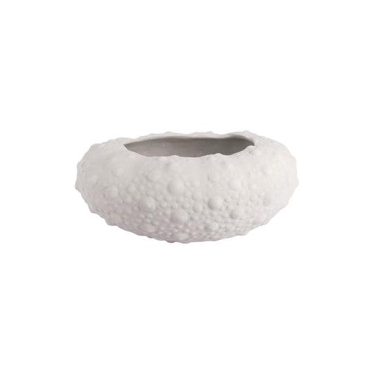 Large Barnacle Bowls