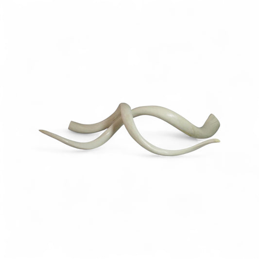 Kudu Horns Set