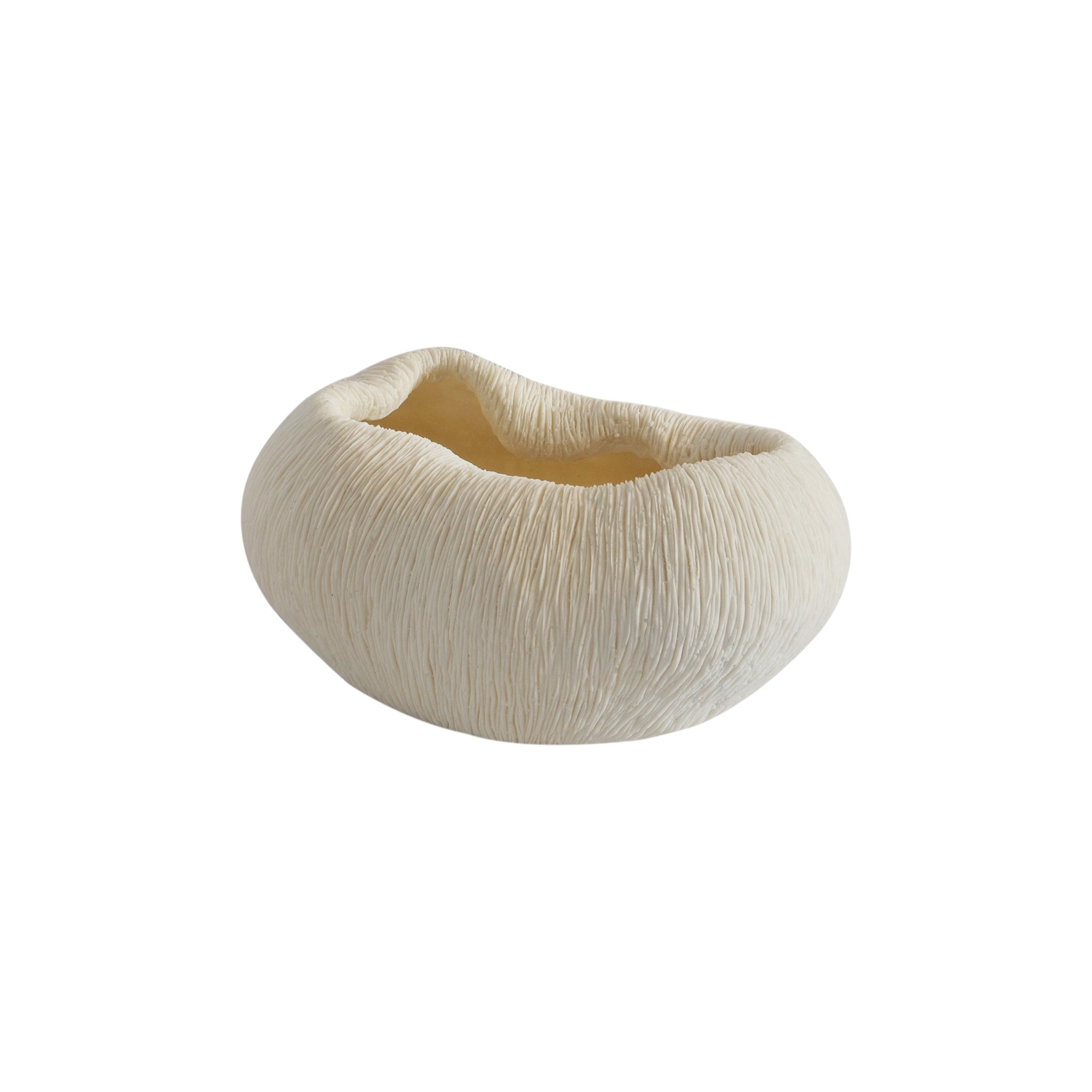 Coral Reef Decor Range – Esque