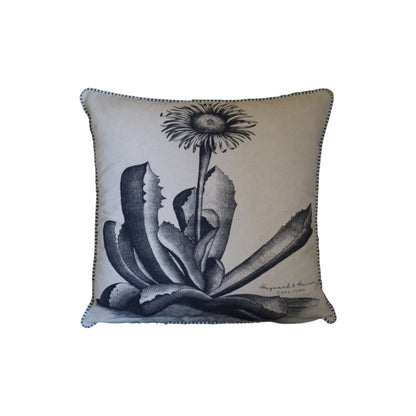 Monochrome Aloe Scatters