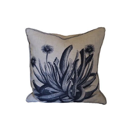 Monochrome Aloe Scatters