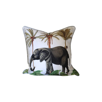 African Animal Tropics Scatter