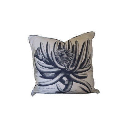 Monochrome Aloe Scatters