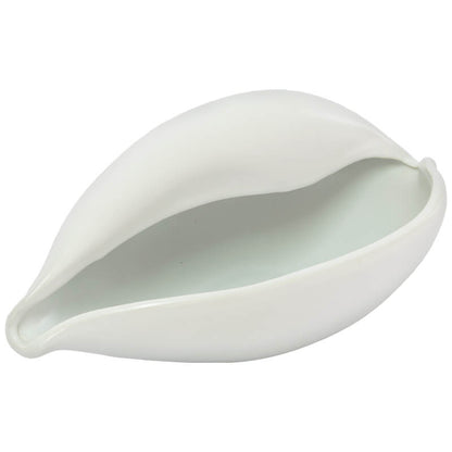 Cowrie Decor