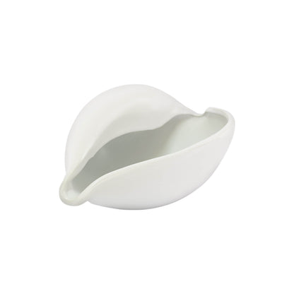 Cowrie Decor