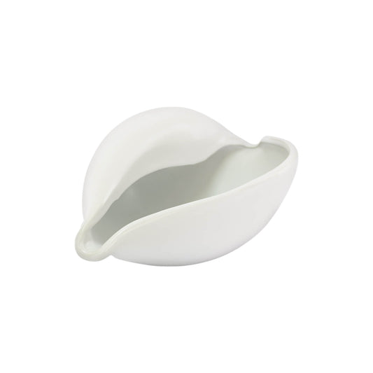 Cowrie Decor