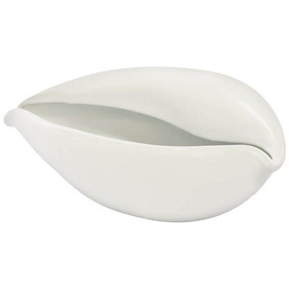 Cowrie Decor