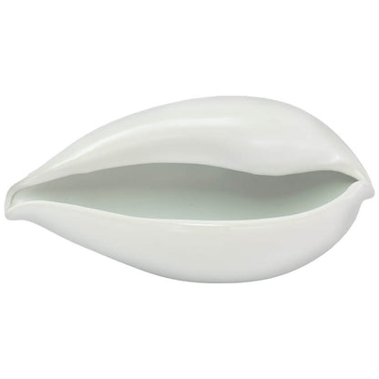 Cowrie Decor