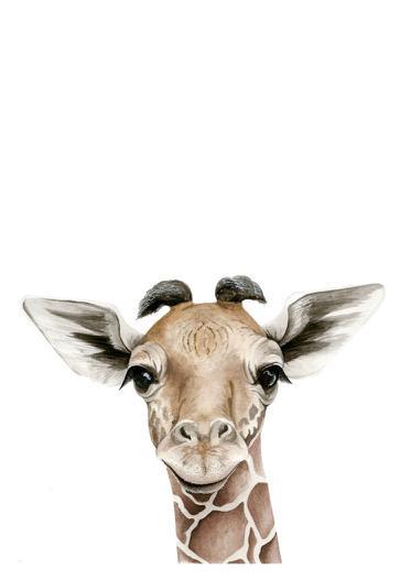 Baby Giraffe Art Print - Esque