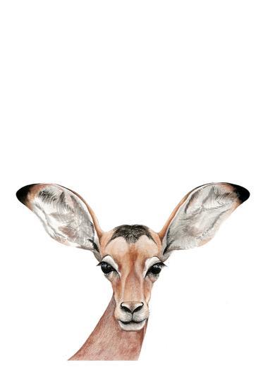 Baby Impala Art Print - Esque