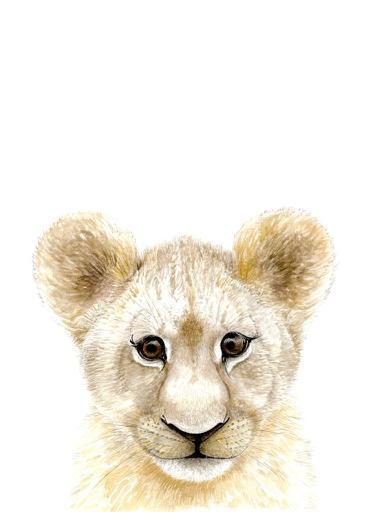 Baby Lion Art Print - Esque