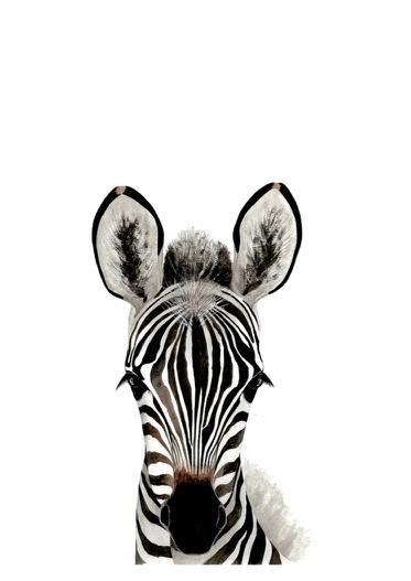 Baby Zebra Art Print - Esque