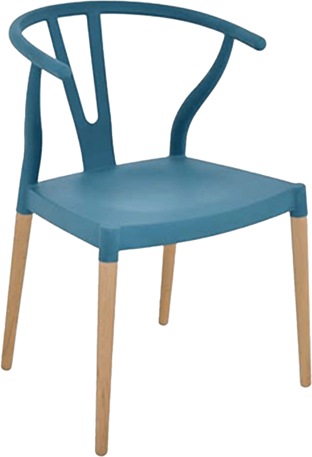 Colourful Wishbone Dining Chair