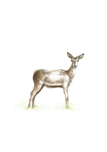 Deer Art Print Miniatures - Esque