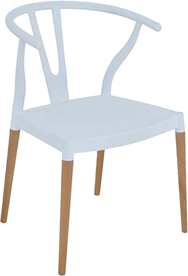 Colourful Wishbone Dining Chair
