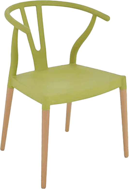 Colourful Wishbone Dining Chair