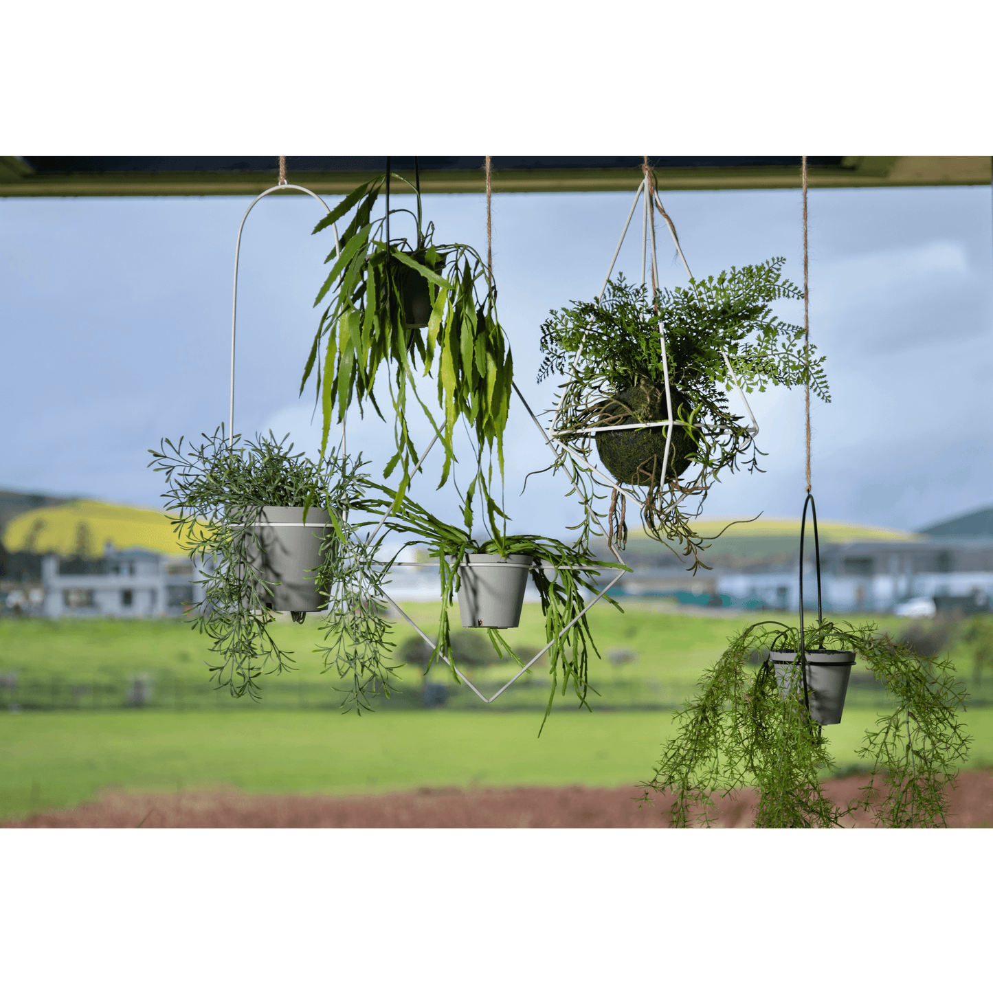 Bucket Hanging Planter