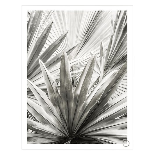 Lala-Palm, Art Print