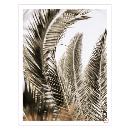 Palm-Love, Art Print