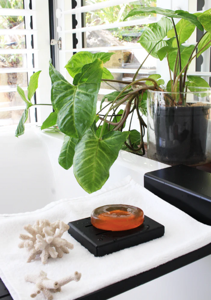 Soap Dish