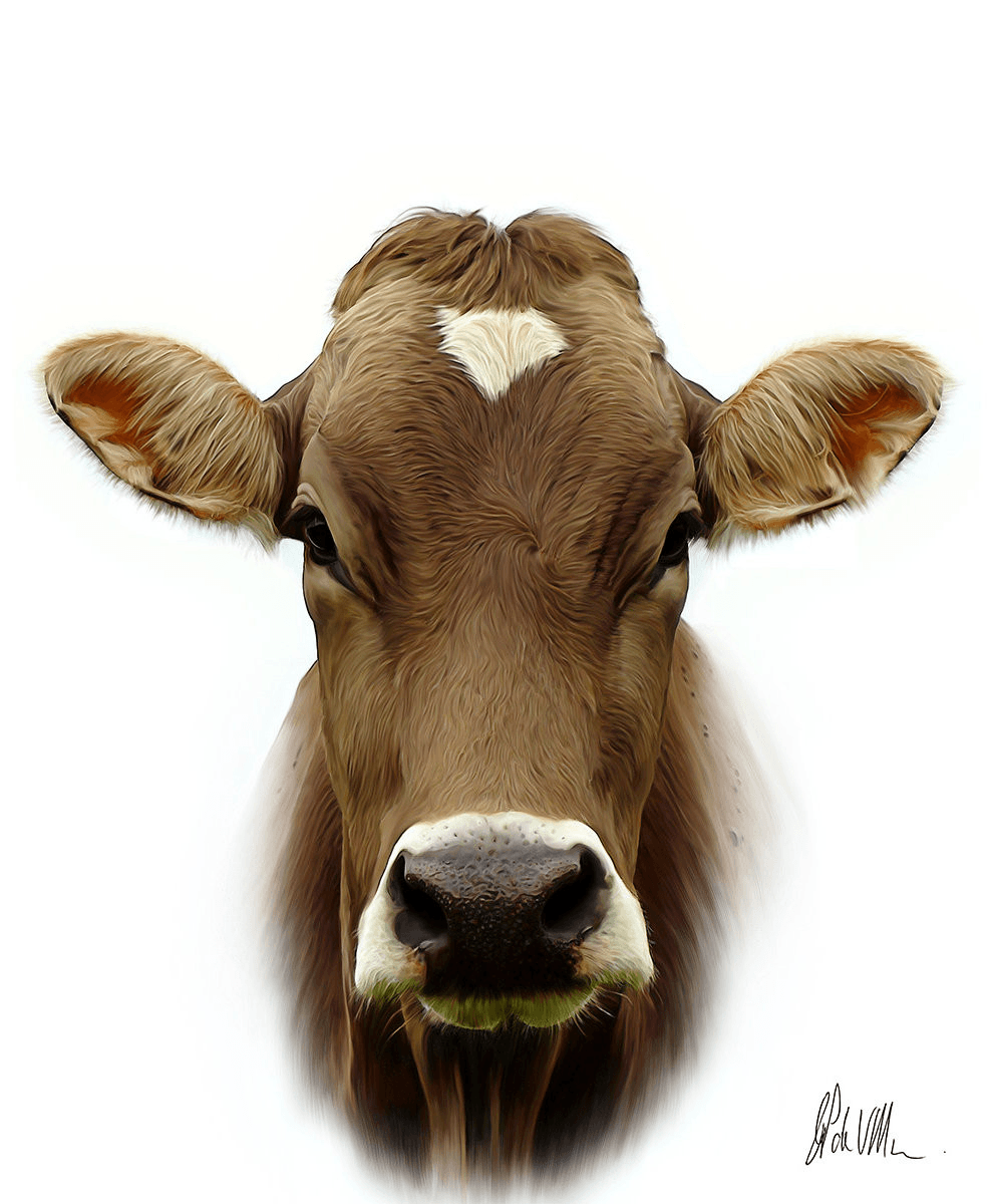Cows Portrait Moo2 Artwork - Esque