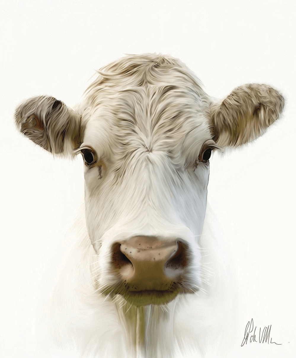 Cows Portrait Moo Artwork - Esque
