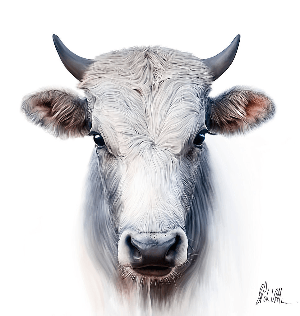 Cows Portrait Moo4 Artwork - Esque